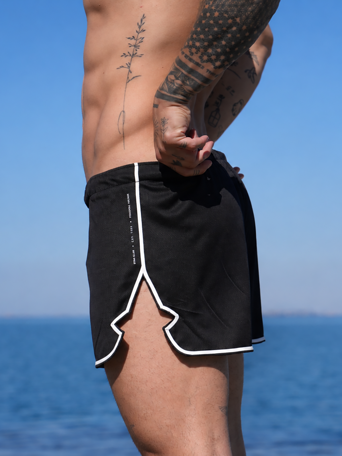 ★ big star shorts — product view
